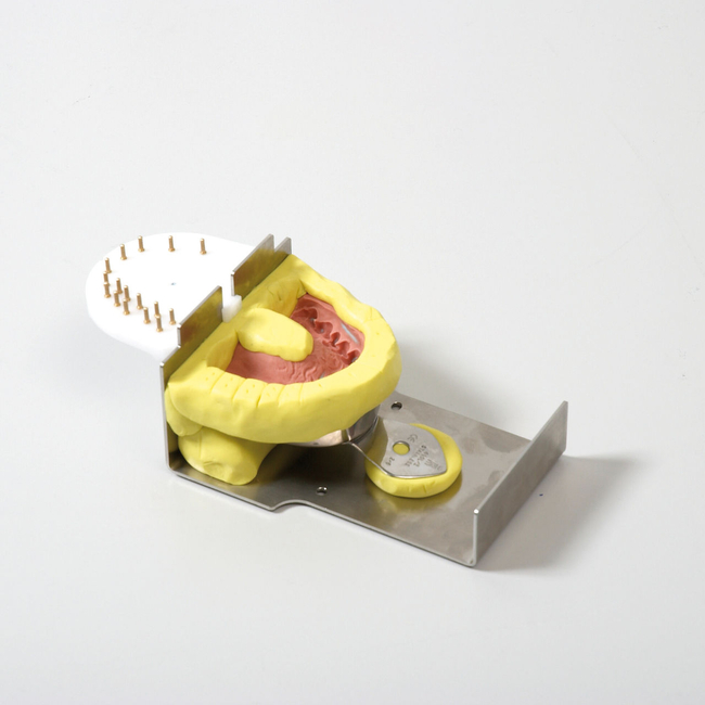 Носитель оттисков Giroform | Amann Girrbach AG (Австрия)