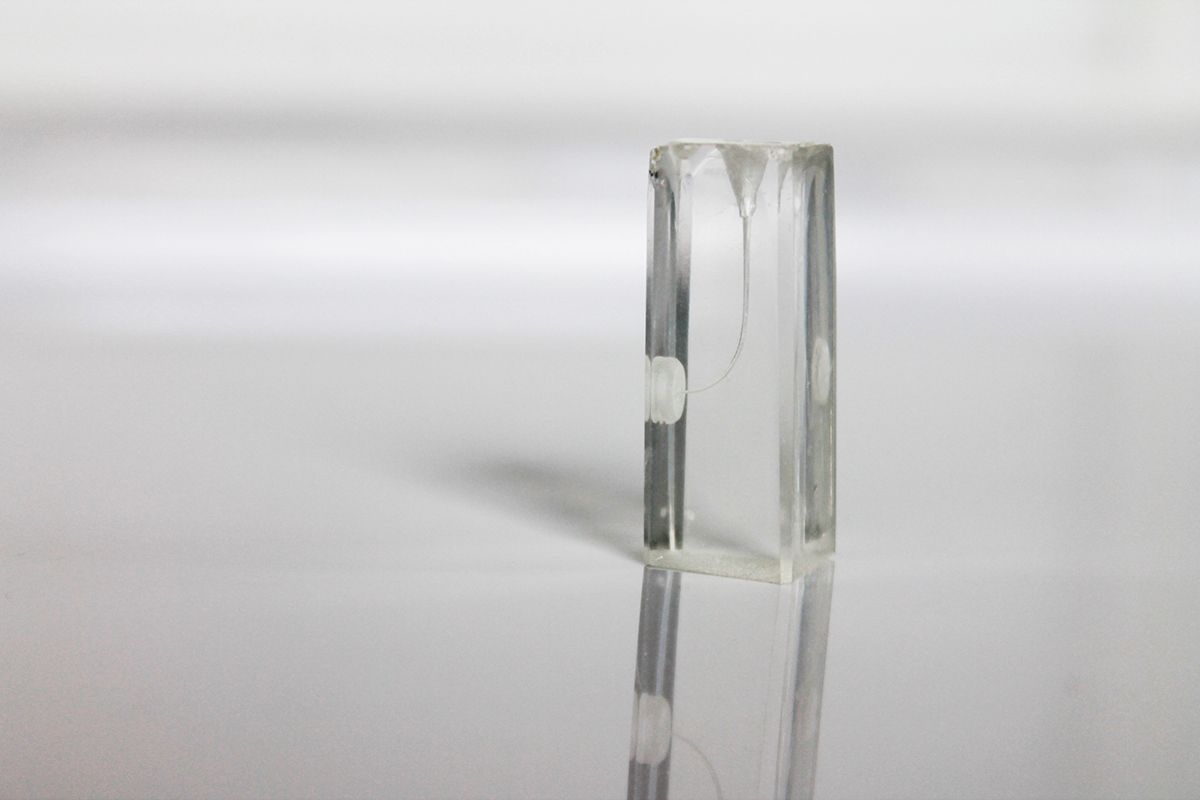 Зуб для обучения в ассортименте (1 шт) 06 Зуб для обучения в ассортименте (1 шт) 06