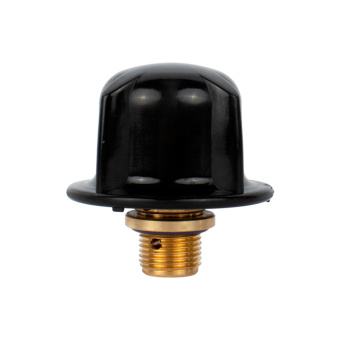 Крышка-клапан для пароструйного аппарата Evolution EV1 SJ | Silfradent (Италия) Крышка-клапан для пароструйного аппарата Evolution EV1 SJ | Silfradent (Италия)