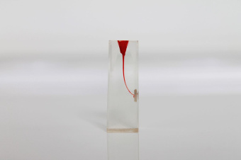 Зуб для обучения в ассортименте (1 шт) 04 Зуб для обучения в ассортименте (1 шт) 04