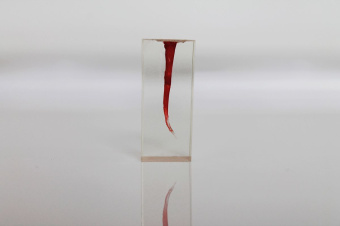 Зуб для обучения в ассортименте (1 шт) 05 Зуб для обучения в ассортименте (1 шт) 05