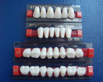 Двухслойные пластмассовые зубы (один полный гарнитур) Двухслойные пластмассовые зубы (один полный гарнитур)